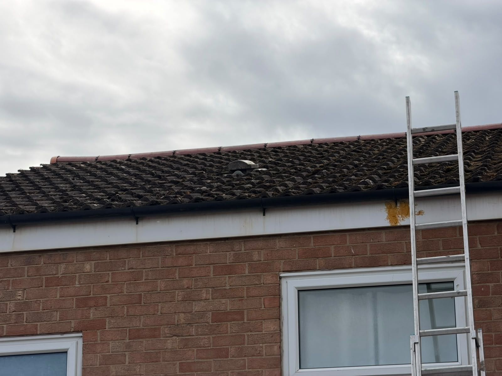 Fascias and guttering